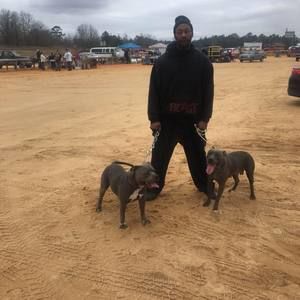 Meet your Posher, Noble john